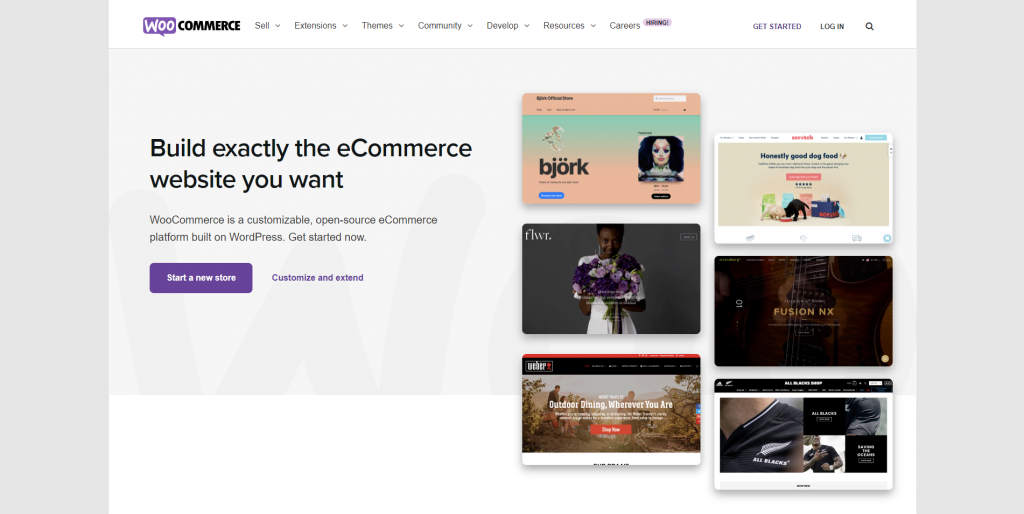 WooCommerce homepage