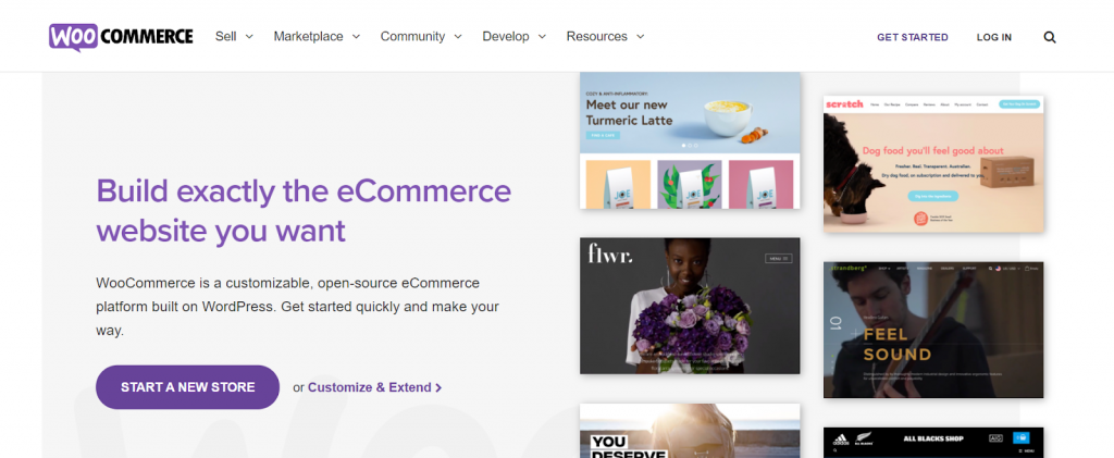 WooCommerce homepage, the all-in-one eCommerce and payment plugin for WordPress.