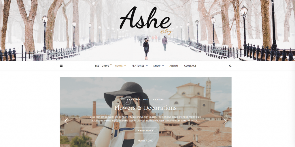 A demo of the Ashe WordPress theme.