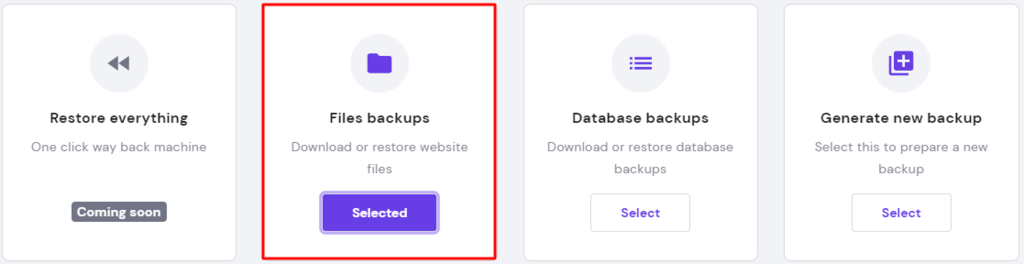 Files backup section on hPanel.