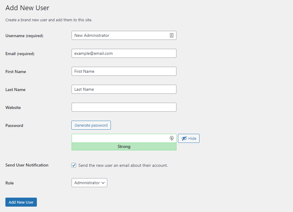 Add new user section in the WordPress dashboard 