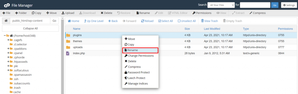 cPanel window showing how to rename plugins folder