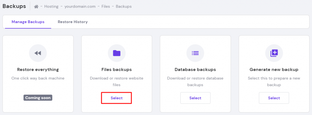File backups option in the backups section in hPanel