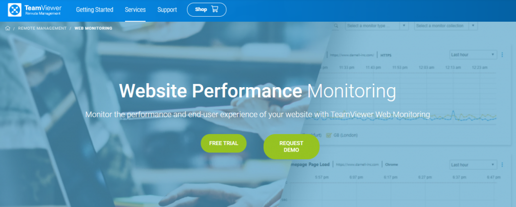 TeamViewer website monitoring service