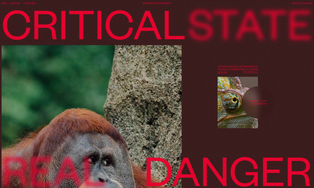 Critical Danger's homepage