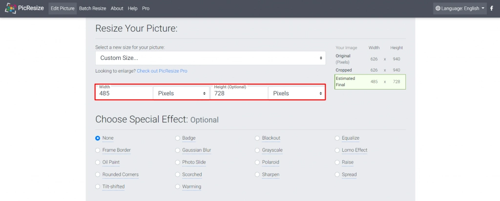 PicResize custom size options.