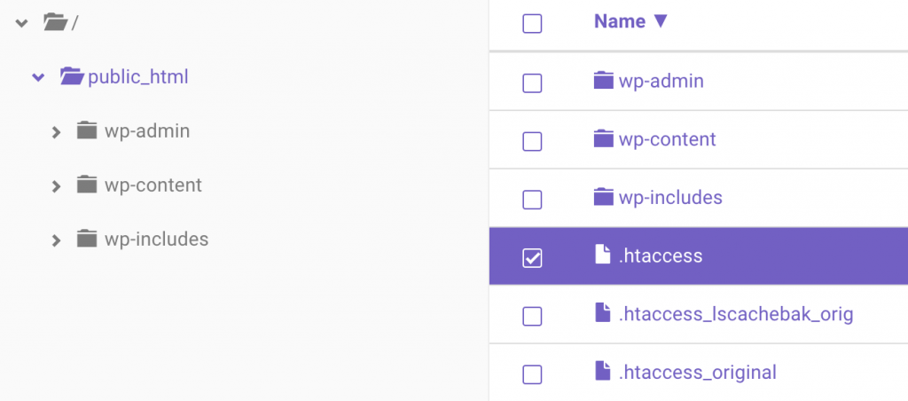hPanel showing where to find .htaccess.