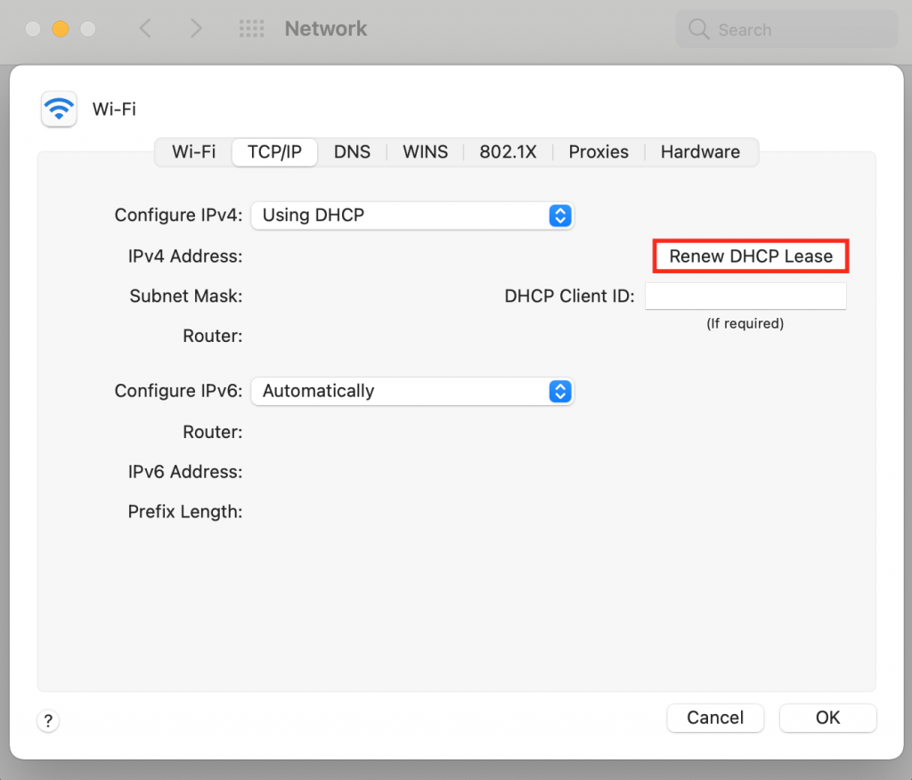 Renewing the DHCP lease on macOS.