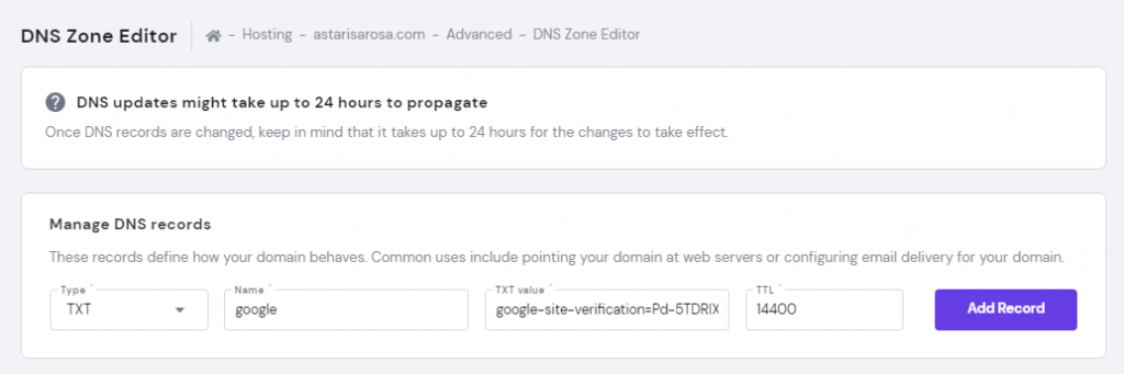 Screenshot from DNS Zone Editor showing where to add record.