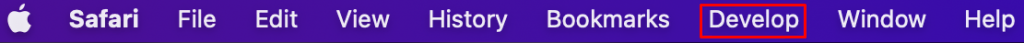 The Develop menu on macOS.