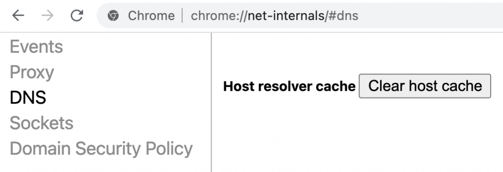 Flushing DNS on Google Chrome.