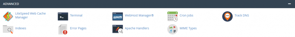 The Advanced Section on cPanel