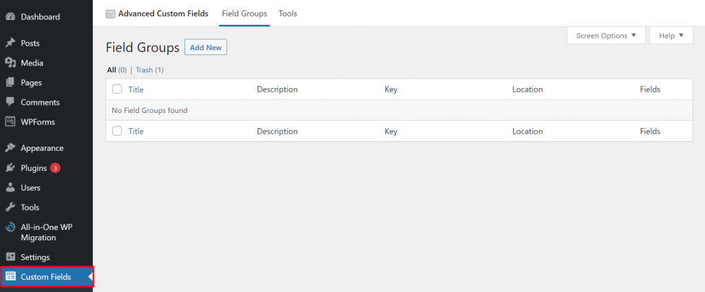 Custom Fields tab on the WordPress dashboard