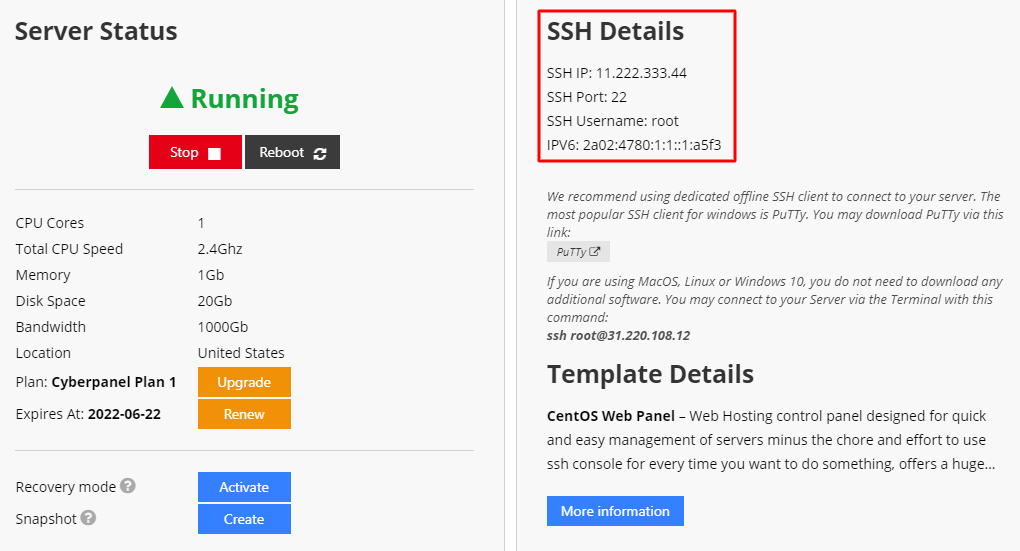 Screenshot of VPS server management panel that contains SSH details.