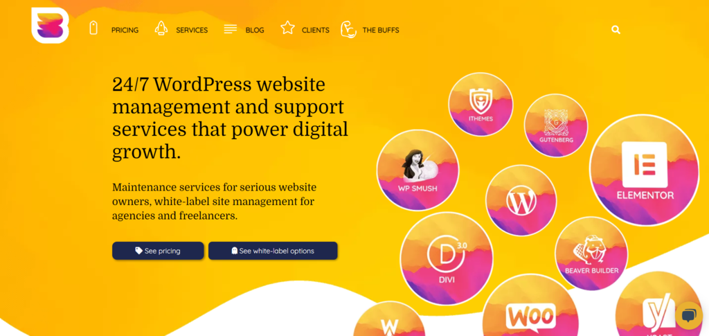 WP Buffs - Website maintenance services for serious website owners, white-label site management for agencies and freelancers.