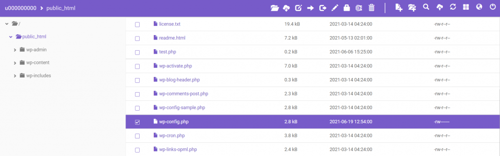 wp-config.php file