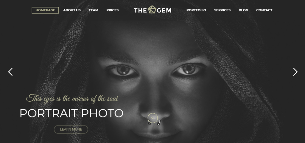 TheGem demo page