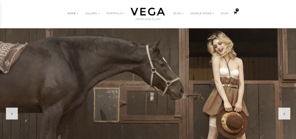 Vega demo page