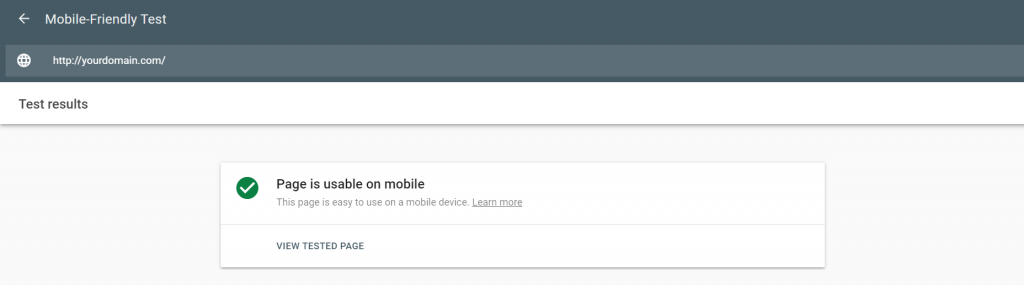 Google's Mobile-Friendly Test results
