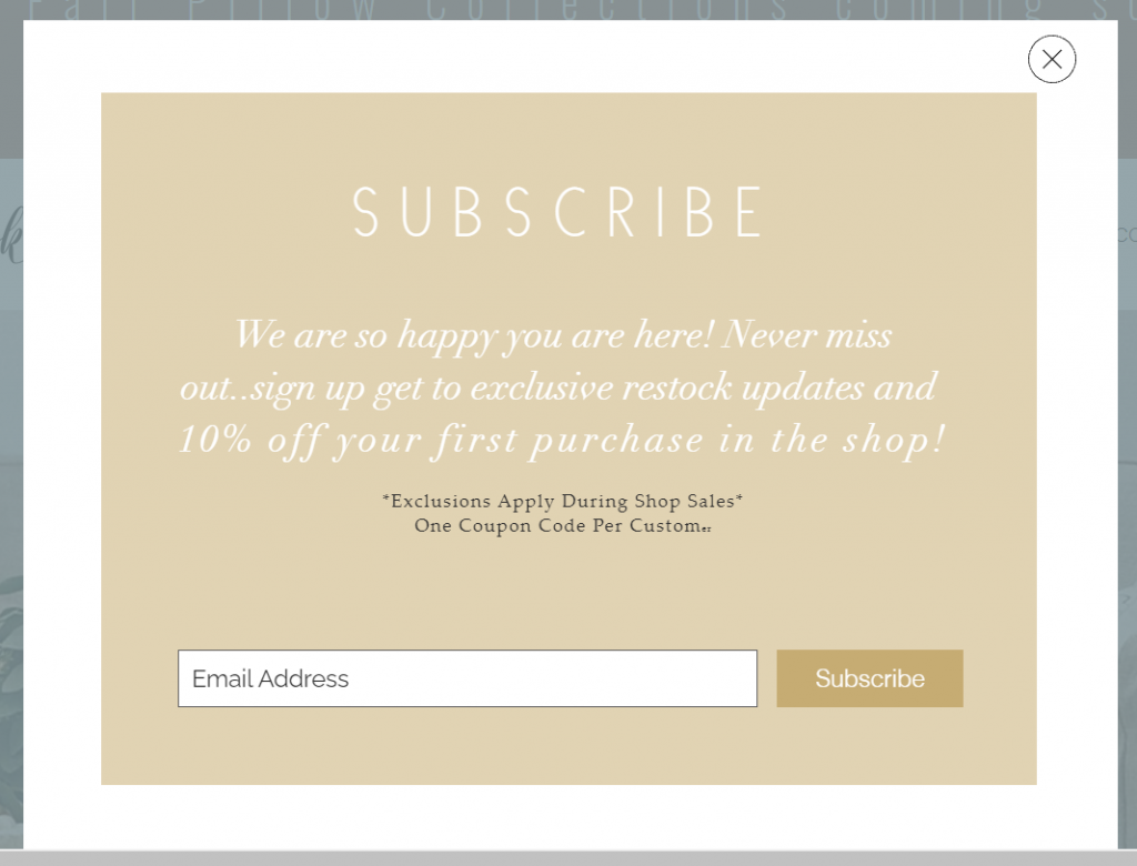 Email marketing subscription offer example