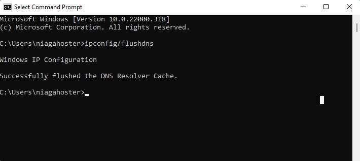 How to flush DNS Resolver Cache.