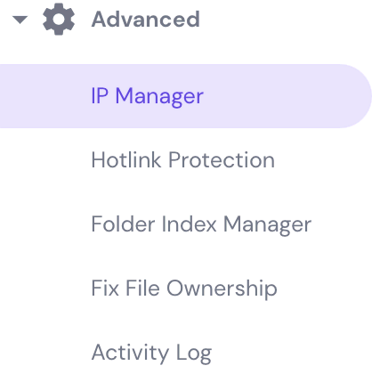 The IP Manager button on hPanel