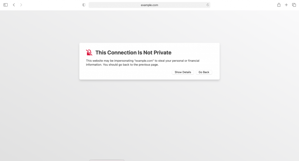 Screenshot showing your connection is not private error on Safari