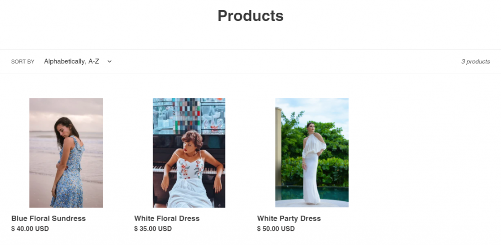 An example of Shopify online store
