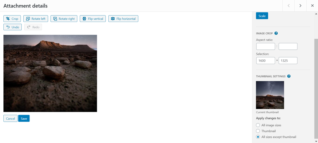 WordPress Media Library's image editor, with the Thumbnail settings' set to apply changes to all sizes except thumbnail