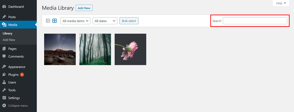 WordPress Media Library with the search bar highlighted