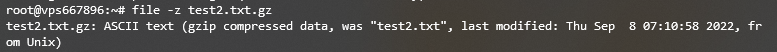 Check a compressed file using the Linux file command on Terminal