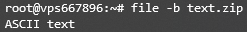 Check a file type using the brief mode on Terminal