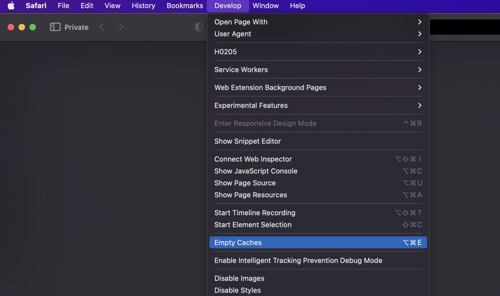 Develop tab drop-down menu opened with the "Empty Caches" option highlighted.