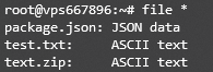 List file types in a directory using the Linux file command on Terminal