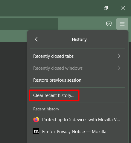 Select Clear recent history on Mozilla.