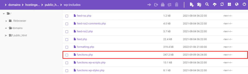 Functions.php being accessed via hPanel's File Manager.