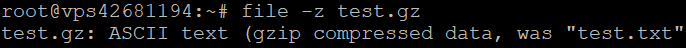 Output specifying that the test.gz file is a .gzip compressed file that contains file.txt.