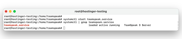 Screenshot of the terminal showing successful connection to the TeamSpeak server