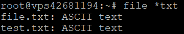 Output showing information on all .txt files.