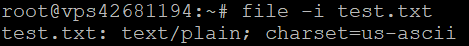 The output for the MIME file command type.