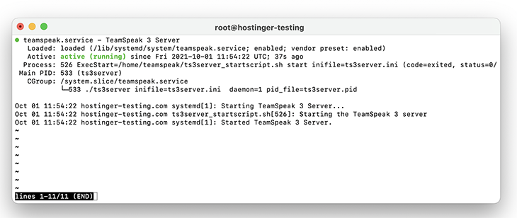 Screenshot of the service teamspeak status command results for CentOS 7