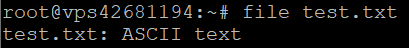Output showing that it is a text file in the ASCII format.