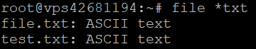 Output showing all .txt files inside the Test directory.