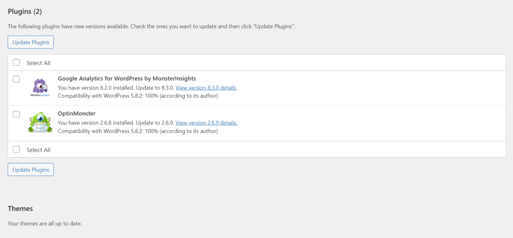 Screenshot of the WordPress plugins and themes update section