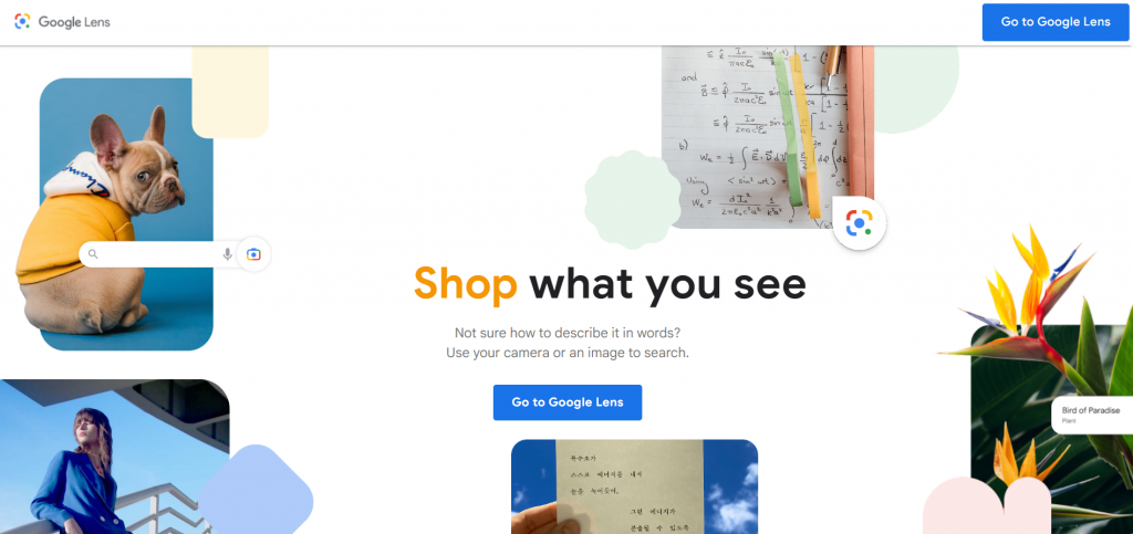 The homepage of Google Lens, a visu