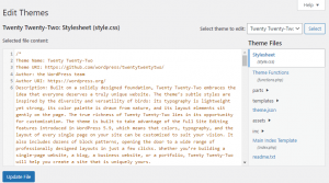 2 Ways to Add Custom CSS to WordPress + Common Errors