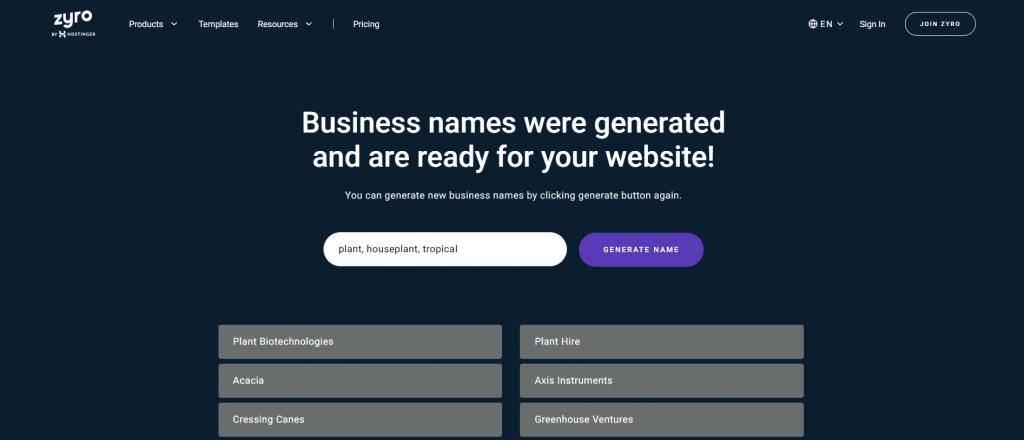 The results of Zyro's AI Business Name Generator.