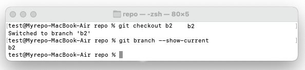The syntax which shows the current branch you're on