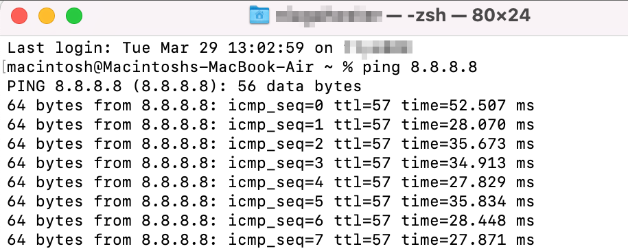 Running the ping command on macOS.