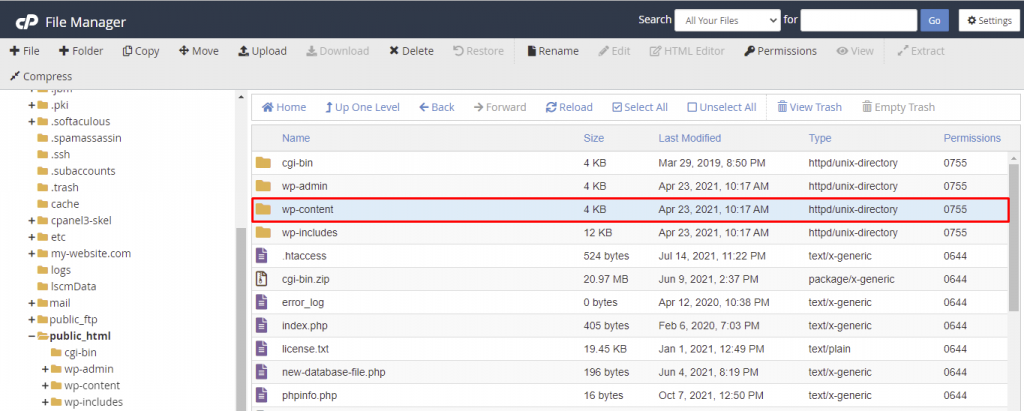 wp content in the File Manager of the cPanel dashboard